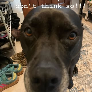 No sense of personal space 🤣