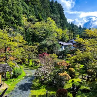 Koyasan 2025✨❤️