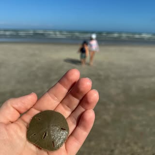 Summer vacay 2024 🌊☀️🐚