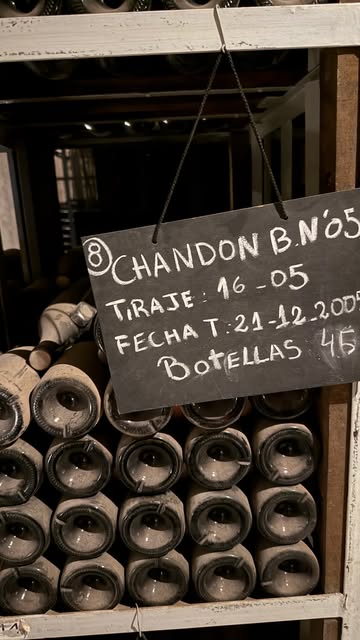 Essa viagem veio para celebrar meus 40 anos. ✨

Na Chandon, encontrei uma garrafa marcada com 16/05,