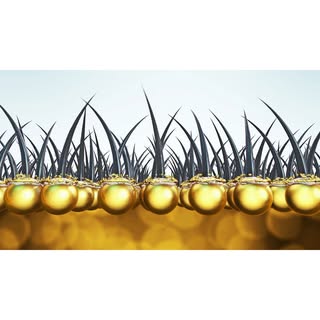 🌿 Discover the beauty and confidence that lies within you with Phoenix Hair Restoration. Our expert