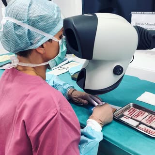 Unsere Hair Doctors Teams arbeiten hochpräzise unter modernsten LED-Lichtmikroskopen. Alles in 100% 