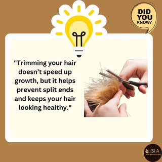 Trimming doesn’t speed up the rate at which hair grows from the scalp; instead, it helps maintain ha