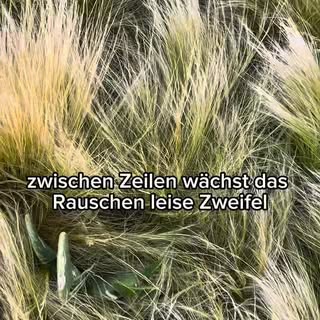 Ich weiß,
dass sich nicht viele die Zeit (2 Min) nehmen werden,
das Ganze anzuhören.

Und das ist ok