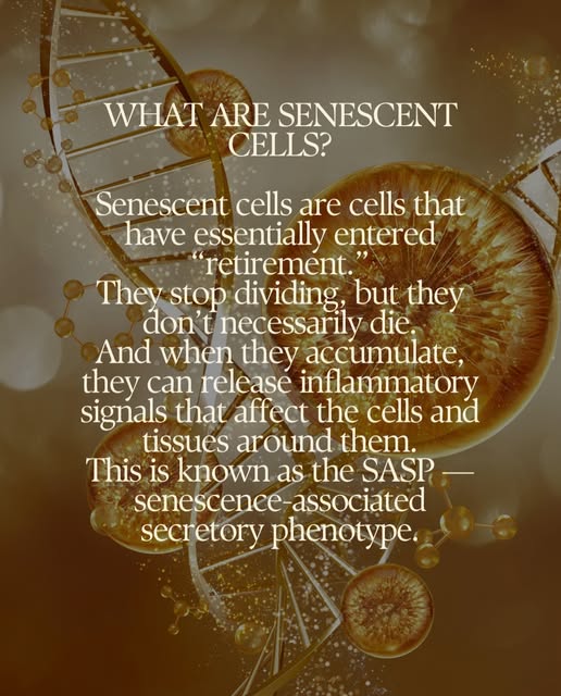 Your hair follicles are living, changing cells—and they are constantly responding to the environment