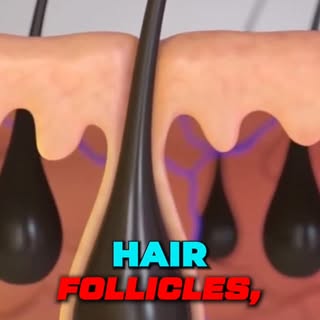 Hair fall is common. Thinning hair does not have to be your normal. ✨

GFC hair treatment is designe