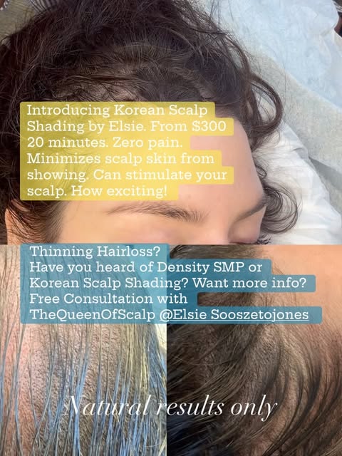 WHY DO THIS? Clients specifically choose Korean scalp shading with @elsiesooszetojones_smp because i