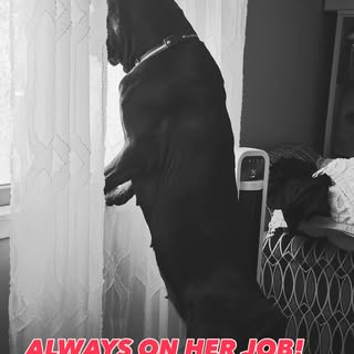 MY BEST FRIEND BETTER THAN YOURS…. #canecorsofans