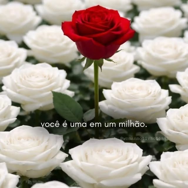 “Ser rara é ter uma essência que não se encontra em qualquer pessoa e um valor que nem todos terão m