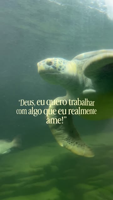 Amo o que faço e faço com muito amor, isso muda tudo, muda autoestima, muda vida das pessoas.
