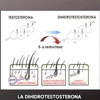 Soy médico tricóloga, especializada en el diagnóstico y tratamiento integral de las enfermedades del
