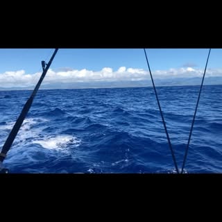 Chasin Ahi in Nawiliwili