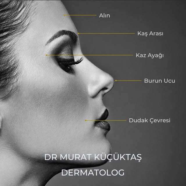 Estetik Dermatoloji 

Aesthetic Dermatology