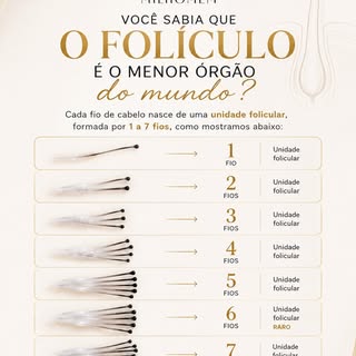 Você sabia que cada fio de cabelo nasce de um verdadeiro miniórgão? 🧬

O folículo piloso é uma estr