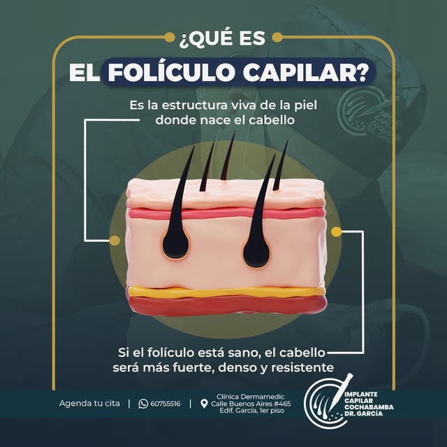 🔹 La salud del cabello comienza mucho antes de que podamos verlo crecer.

El folículo capilar cumpl