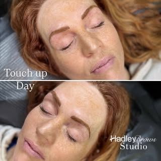 Summer ready ☀️Touch up 4 years later ❣️ #hadleybrows #brows #nanobrows #browgame