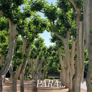 #parar #respirar #evadirme #naturaleza #descanso