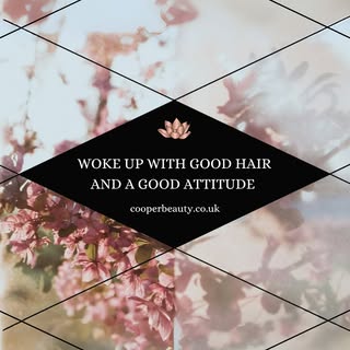 Quote of the week 🪷 

Waking up with good hair and a good attitude makes the day soo much better 🥳