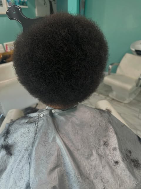 Afro appreciation. My favorite cut of year 🥰 Two different cuts. Same client. #afro #afrohair #clip
