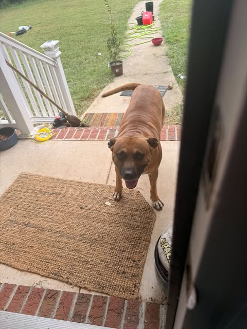 Let’s see if you know me at all….I open the door and see this. What do you think happened next?