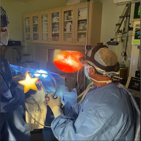 Cosmetic plastic surgery practice seeking a surgical first assistant with exceptional suturing skill