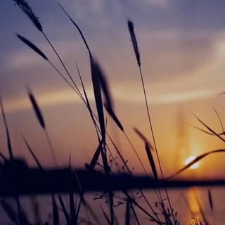 As we look forward to 2026, it's a wonderful time to reflect on the past and set new goals for the f