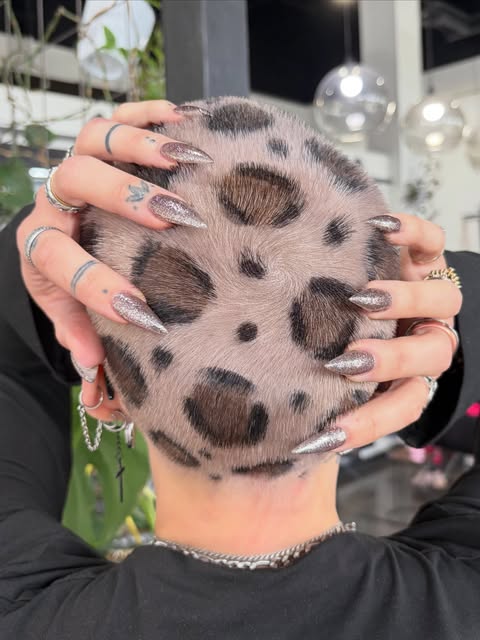 Snow leopard buzz cut 🖤🐆⛓️ For the coolest @wildehairday