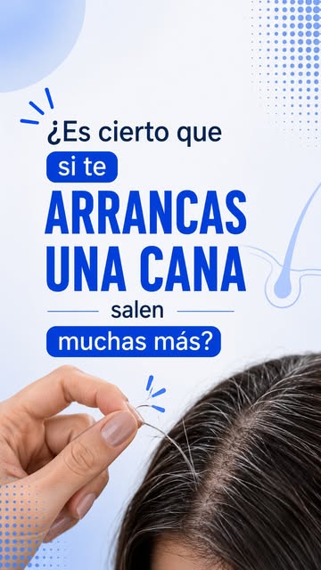 ¿Cuántas veces escuchaste que arrancar una cana hace que salgan más? 🤔 Hoy aclaramos uno de los mit
