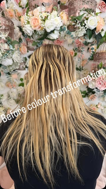✨ BEFORE & AFTER ✨

What a transformation! 🤍

A complete colour refresh followed by beautifully ble