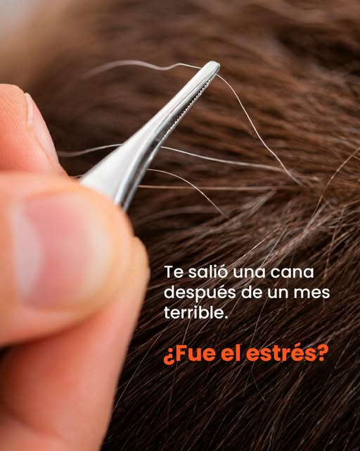 Hay algo muy humano en encontrar una cana después de semanas complicadas y pensar: “listo, esto me l