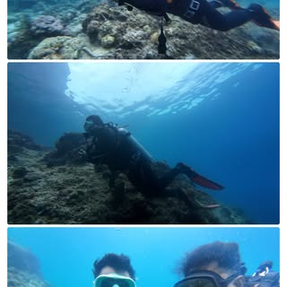 18 meters below the surface… and an entirely different world awaited. 🌊🐢

As a PADI Open Water Div
