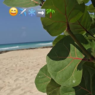 BRRRRR...
❄️🥶🧊Fixing my Vitamin D deficiency 🌴☀️😂