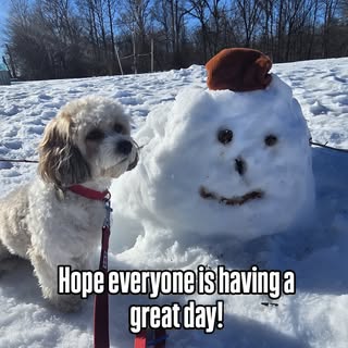 Taking a quick break between clients to enjoy some snowy fun with my furry friend! 🐾❄️ 

Nothing li