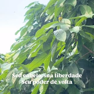 A perda de cabelo pode ser como uma gaiola invisível.
A cada fio perdido cresce a angústia, a dúvida