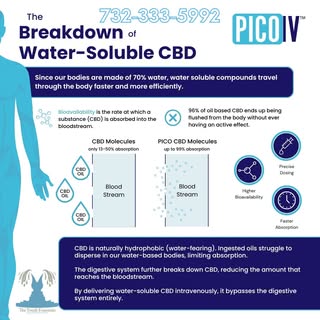 Discover the Transformative Effects of CBD with Advanced IV Therapy! 🌿

Elevate your wellness exper