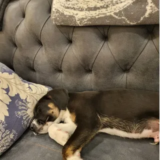 Ama  çok uykusu gelmiş