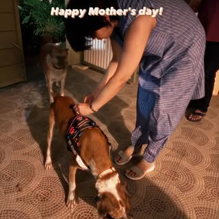 Maternal love is unconditional, well mostly,  and is often limited to one's offspring. When you see 