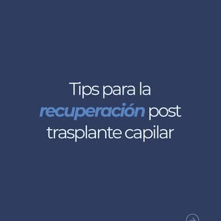 Aspectos clave que debes saber después de tu trasplante capilar.👆

📱  81 8378 0866

💻  www.hair-c