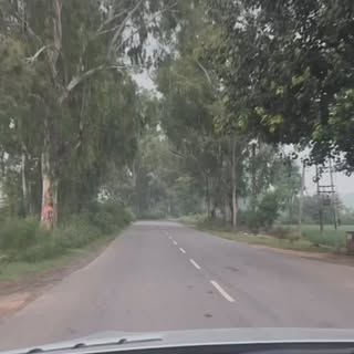 The world feels different before it fully wakes.

An early morning drive - dew-kissed fields shimmer