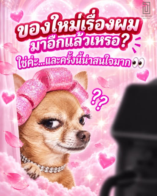 สาธุ 999 🙏
ขอให้เจอคนจริงใจ…

ถ้ายังไม่เจอ ขอผมแน่นไว้ก่อนก็ได้ 👀
ความรักอาจทำให้ใจบาง 💔 
แต่เรื่