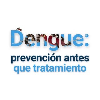 2024: más de 13 millones de casos de dengue en la región. 🦟

📊 En 2025, los casos bajaron 66% y la