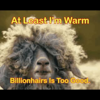 Are you #cold today??