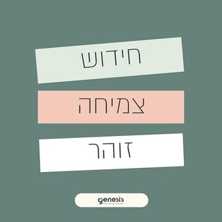 בואו לגלות איך טיפול PRP יכול להיות המפתח לשיער שתמיד רציתם.