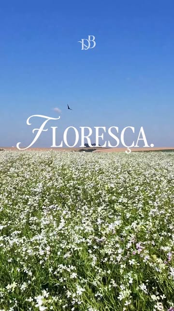Em breve uma nova estação começa e, com ela, um novo convite para olhar para você: é tempo de flores