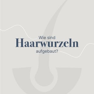 🌱 Wie funktioniert eine Haarwurzel?

Die Haarwurzel ist der Schlüssel zu vollem, gesundem Haar und 