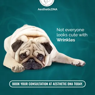 Not Everyone Looks Cute with Wrinkles! 🐶✨

Wrinkles may be cute on a pug, but when it comes to your