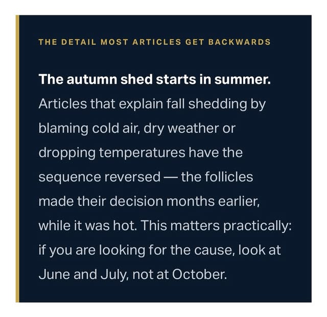 Seasonal Shedding, how to identify it and what to do about it.💫
#seasonalshedding #hairloss #identi
