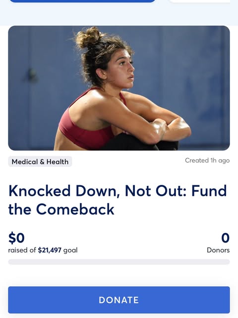 LINK IS TAGGED you can also copy and paste into search bar! ⬇️

https://giveahand.com/fundraiser/kno