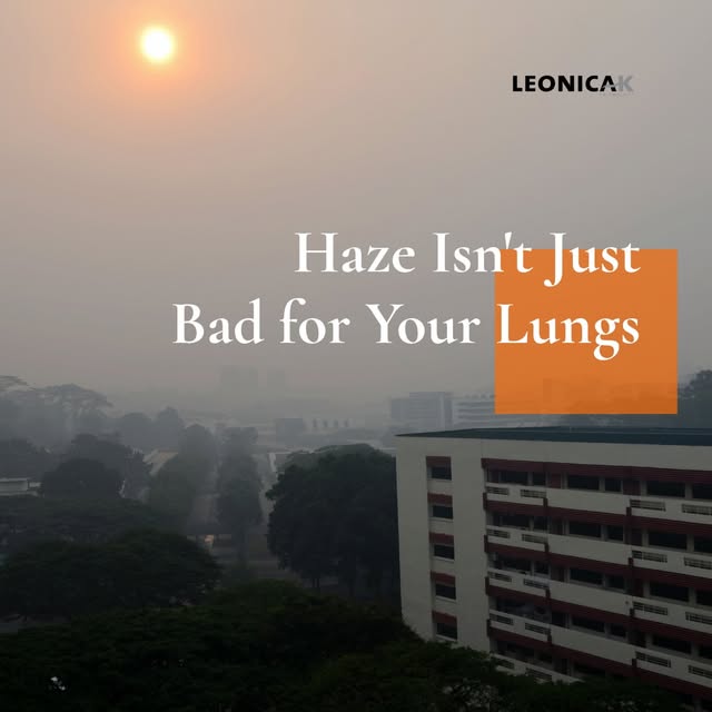 Haze Isn't Just Bad for Your Lungs 

The haze has been rough lately, and it shows up in more ways th