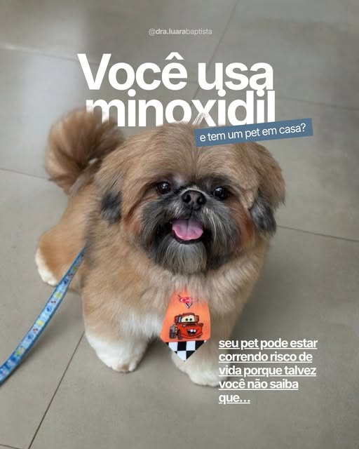 O Theo, a Valentina, o Pingo e a Elis vieram te explicar tudo o que você precisa saber sobre o uso d
